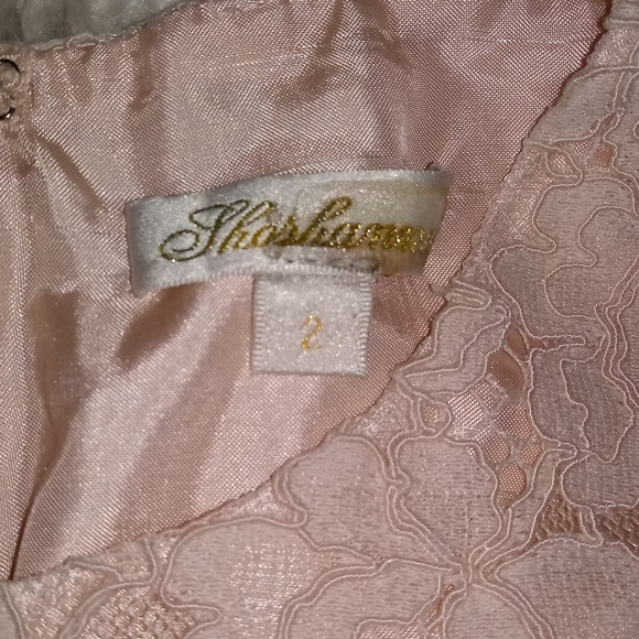 Shoshanna Valeria Lace Scalloped Eyelash Dress Size 2 - Picture 15 of 16